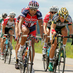 Plants: image 4 0f 4 thumb