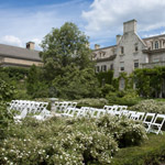 Plants: image 2 0f 4 thumb